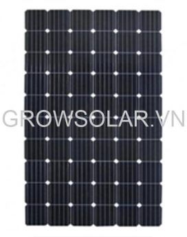 Pin năng lượng mặt trời Sunergy