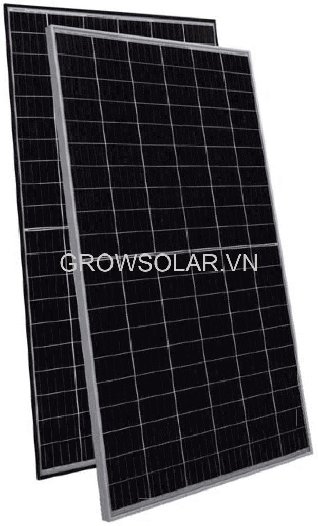 pin-Sunergy-4