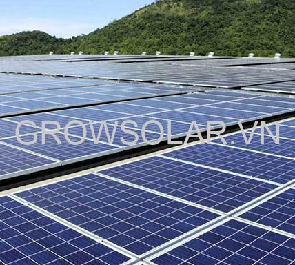 Pin Poly năng lượng mặt trời