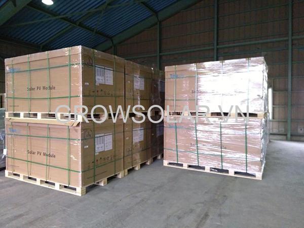 Pin-Trina-Poly-345W-2