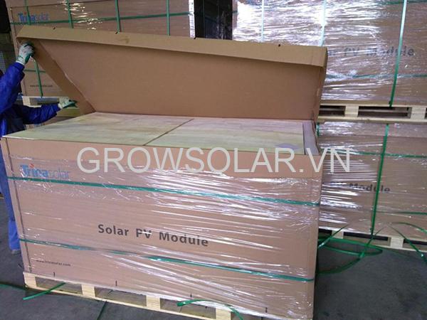 Pin-Trina-Poly-345W-5